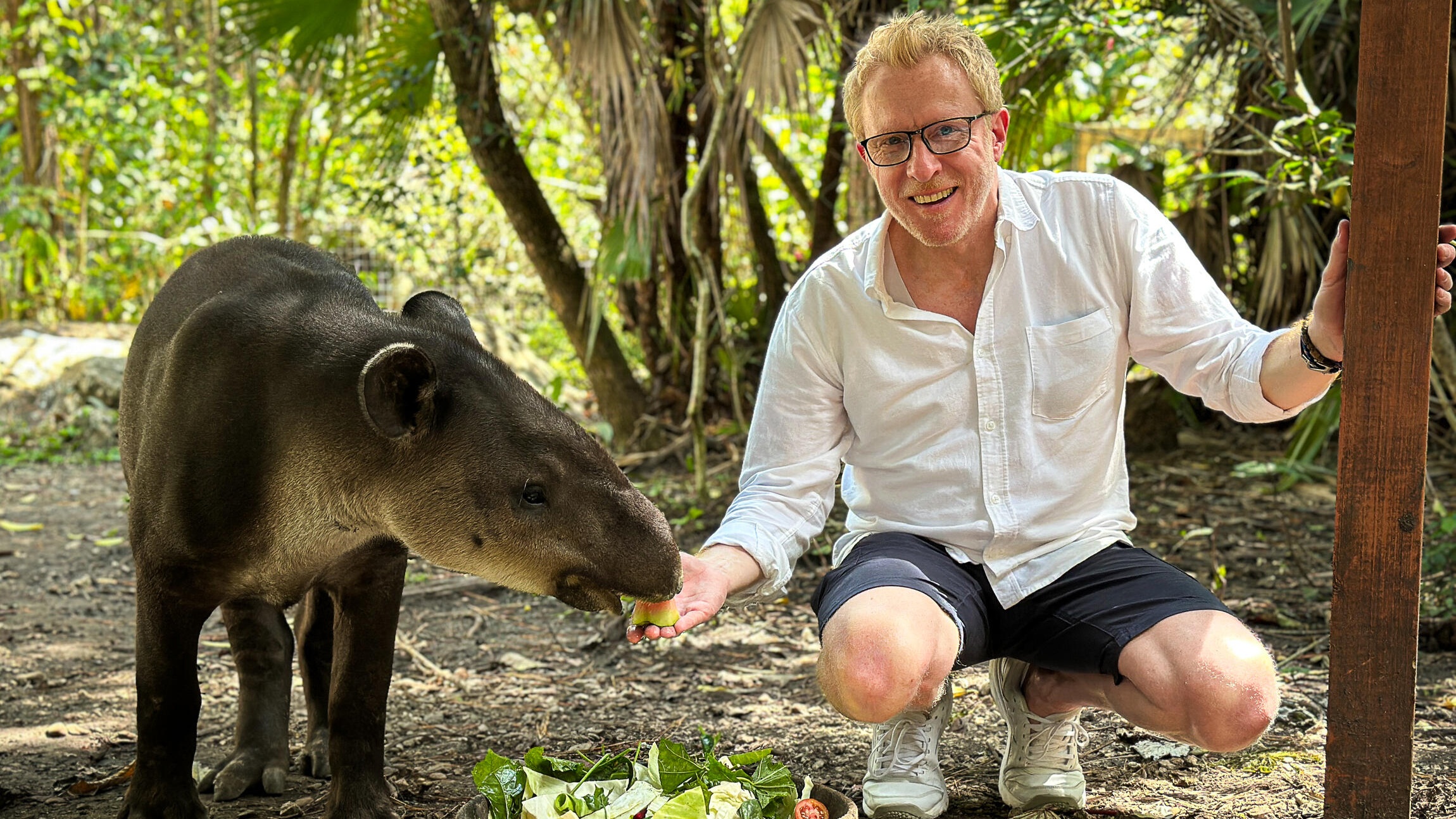 Plongées entre jungle et barrière de corail avec Jérôme Pitorin